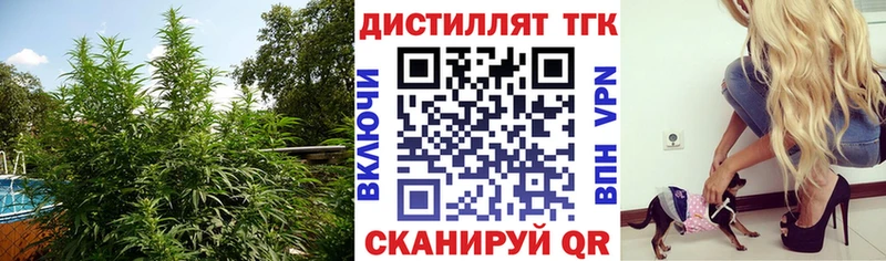 Дистиллят ТГК концентрат  хочу   Бокситогорск 