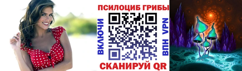 хочу   Бокситогорск  Псилоцибиновые грибы Psilocybine cubensis 